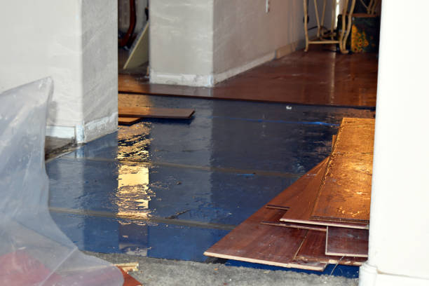 Professional Basement Flood Cleanup technician working in Centerport, NY